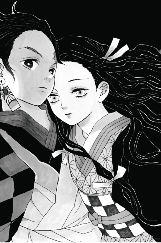 Demon Slayer: Kimetsu no Yaiba, Vol. 1 Paperback  Art Koyoharu Gotouge 