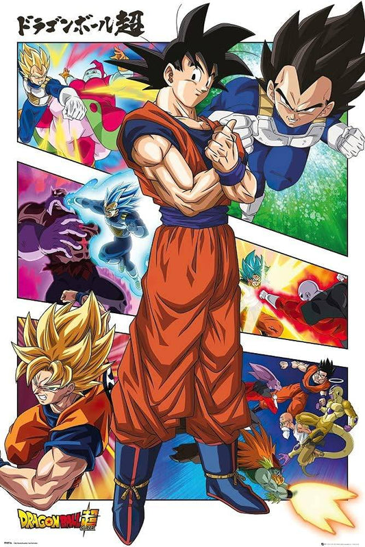 Dragon Ball Z character poster with Son Goku and Vegeta in action poses