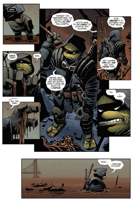 Teenage Mutant Ninja Turtles: The Last Ronin available at chimploot.com