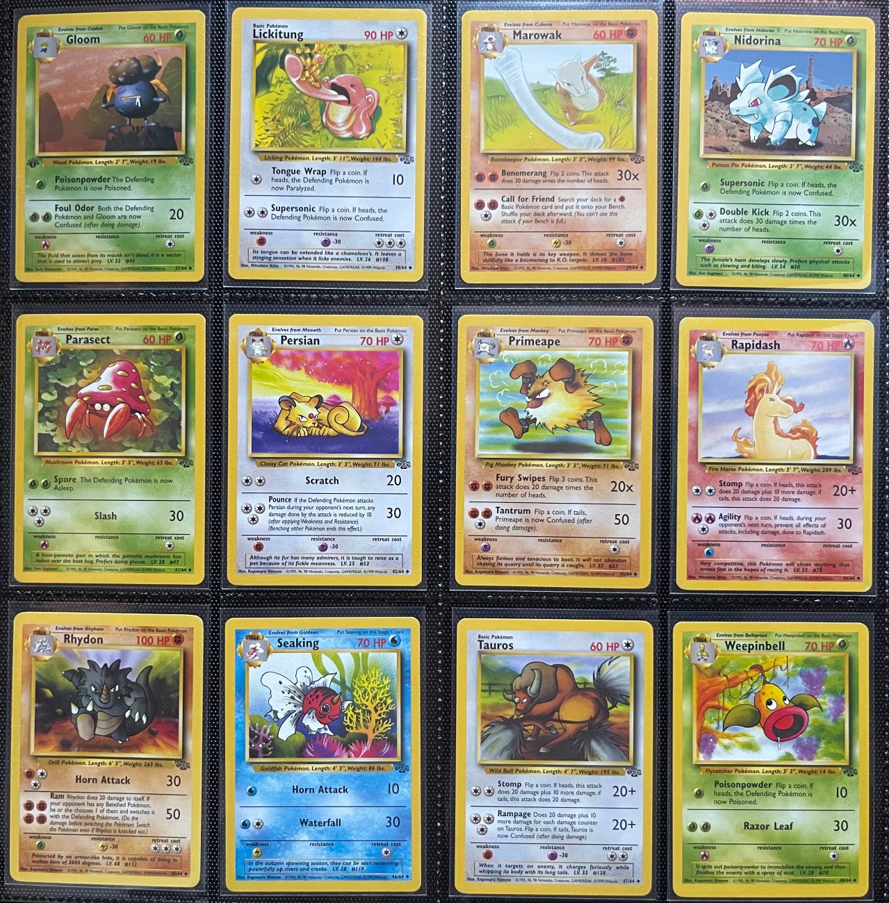 Pokémon pkm Jungle Complete Master Set (64/64) trading card game available at ChimpLoot.com