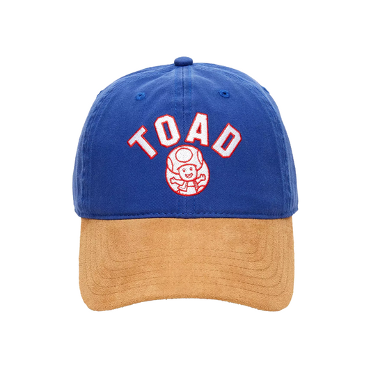 Blue and brown cap with Nintendo Super Mario Bros. Toad logo on a white background