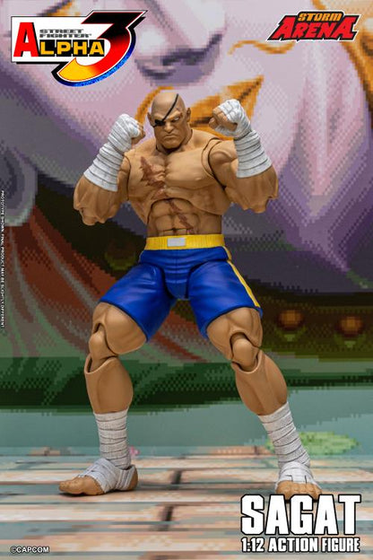 Action figure of Sagat from Street Fighter Alpha 3 with a colorful background