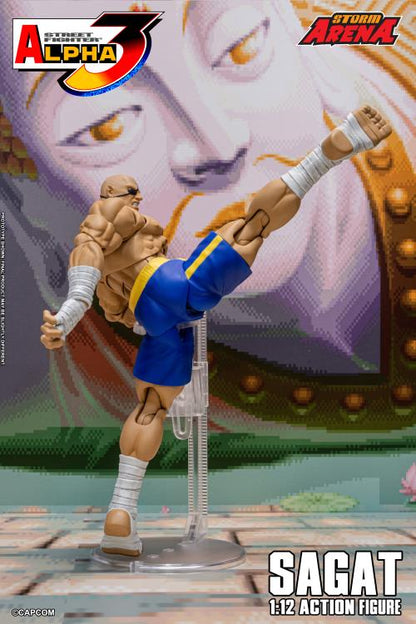 Action figure of Sagat from Street Fighter Alpha 3 with a large character in the background.