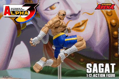 Action figure of Sagat from Street Fighter Alpha 3 with Storm Arena branding.