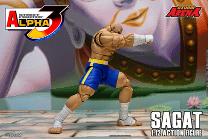 Action figure of Sagat from Street Fighter Alpha 3 with 'Storm Arena' branding.