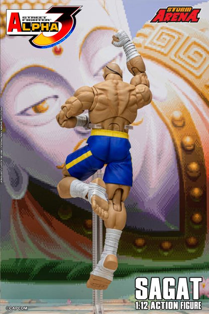 Action figure of Sagat from Street Fighter Alpha 3 with a colorful background
