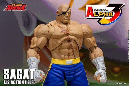 Action figure of Sagat from Street Fighter Alpha 3 with Storm Arena branding.