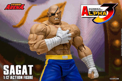 Action figure of Sagat from Street Fighter Alpha 3 with 'Storm Arena' branding.