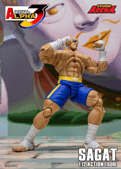 Action figure of Sagat from Street Fighter Alpha 3 with 'Storm Arena' branding.