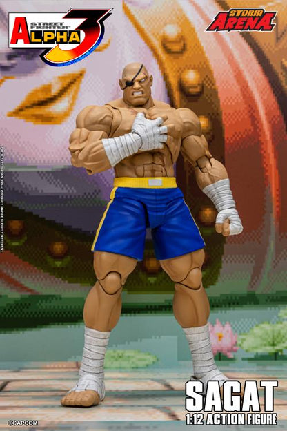 Action figure of Sagat from Street Fighter with Storm Arena branding